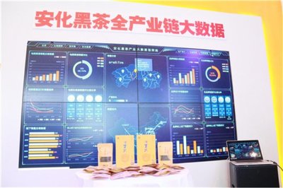 高馬二溪亮相全國(guó)“雙新雙創(chuàng)”博覽會(huì) 大數(shù)據(jù)賦能國(guó)禮茶，探索金融信息服務(wù)新路徑